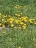 20260503_131904.thumb.jpg.a9a3ef7dfa773a39f6903e07593c60bb.jpg