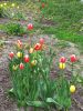 20260505_074951.thumb.jpg.aa3339f675ebcfab8dd22bea0005ce5e.jpg