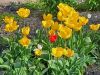 20260506_075553.thumb.jpg.2c16b0dc4c8acdc1c8b8d274ceb612f2.jpg