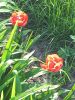 20260506_180620.thumb.jpg.7a30edc4382b68baf2d7ea51acd2fd53.jpg