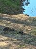 20260508_074525.thumb.jpg.4e6a2e76ffabf33132c359432cf6df91.jpg