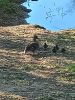 20260508_074532.thumb.jpg.24520e44dd8c6a45294ccc9b6adf1b70.jpg