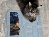 20260508_094824.thumb.jpg.a7716122ccbce1c30d4e5179fb38718b.jpg