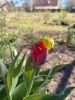 20260508_120624.thumb.jpg.ba1adbd3334fb48b9c0dbc968b20378d.jpg