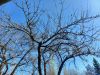 20260508_122827.thumb.jpg.22cf3d4e0c7a85b0419de7a9f45d2907.jpg