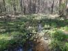 20260508_160221.thumb.jpg.3073d494936a16cfa87bdeed6914d6a0.jpg