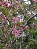 20260510_161213.thumb.jpg.b14a5cda52c3da89bfc57f247ba9f6ba.jpg