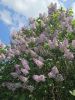 20260517_121201.thumb.jpg.fa4bfffb80baf7a23b0cb63b1567fc55.jpg