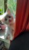 20260518_104735.thumb.jpg.6219806f5f0876d8a40e90943e311d1a.jpg