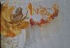 20260519_084149.thumb.jpg.0e8f31f4a9d7057b970451b8ff301e9d.jpg