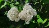 20260520_095402.thumb.jpg.a9cac0cfb8bd78fc645df1334f2d5d0c.jpg