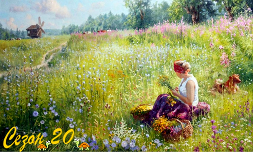 259900696_20.png.a80b3c45d7b55df2552c674d70a4f5cb.png