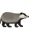 624236464_1f9a1.thumb.png.8059e3391bc14f9e14d1368d32fee812.png