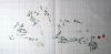 929447043_395-2.thumb.JPG.c76473bfac48d8b7f0883e9ebae699fb.JPG