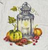 965061488_GreyOrangeAutumnFlame5-8-2026116228230.thumb.jpg.e87ae723ccb196cf93f0ca529b7d89fd.jpg