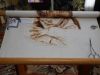 DSCN6544.JPG.b157f1a0e8dffb6af4ca3ffcc029518e.thumb.jpg.2d3c37350119e32cba2c732b42b4e92a.jpg