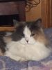 IMG-20231129-WA0000.thumb.jpg.aeeaa010421b290e2e7bbbed55517af0.jpg