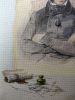 IMG20251012202905.thumb.jpg.e3fe40251b6d6c2be3c895bb8fcc6cda.jpg