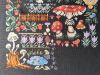IMG20260524103245.thumb.jpg.ae6bad3250ffaed1a9d0f4789dc44812.jpg