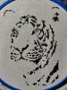 IMG20260525235234.thumb.jpg.6fa6b6f97c588a75f4a0b042c7c6cb47.jpg