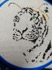 IMG20260526002037.thumb.jpg.29e54730821680c1b99c0d54723bacb8.jpg?1779738381088