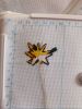 IMG_20250501_175416_043.thumb.jpg.adfa5eae469811667e2b3b82dfd4291b.jpg