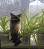 IMG_20260421_082325.thumb.jpg.5cce2de7dd525caaf3f3f10c2482804d.jpg