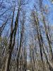 IMG_20260502_092348.thumb.jpg.3a54ae3d4c58ac37150ad62a12f1ca2d.jpg