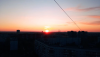 IMG_20260504_120850.thumb.png.cdae7a53f168a4ce658db7ba7267b2d2.png