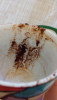 IMG_20260504_120905.thumb.png.1739d1540775712aa186e0678e29352a.png