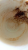 IMG_20260504_120931.thumb.png.2831110804fec9e0b32bcb28a2e17f32.png