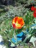 IMG_20260507_142953_706.thumb.jpg.5ecb407cc3f4d5f78270fdf3b795047e.jpg