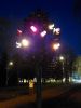 IMG_20260508_212803_307.thumb.jpg.76ed2df445a2c3f6027c498fdc6c15d1.jpg