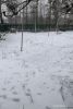 IMG_20260511_223841.thumb.jpg.0112a1215ac42b7147b295456496ae18.jpg