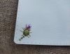 IMG_20260514_122930.jpg