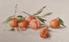 IMG_20260517_080657_edit_1214776496247066.jpg.9818997d226732b14f8ead5c27e49770.thumb.jpg.dca985a6495f685f93379b79f369f442.jpg