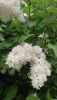 IMG_20260524_200403.thumb.jpg.e0ffa405e27d892b9bcc9cf793cf7836.jpg