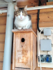 IMG_20260526_122347.thumb.png.3c89e7361526aa0b45f7bea53e9935c9.png