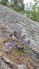 IMG_20260529_192018.thumb.jpg.7e92ea1702332352e1556e27da72b01f.jpg