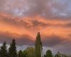IMG_4804.thumb.jpeg.4a82da668a530efb8ce048140f05b64c.jpeg