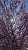 IMG_7244.thumb.jpeg.fed202fe785dd22f4cca7854d9f7d2b3.jpeg