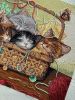 IMG_8330.thumb.jpeg.572064c0889c7c772a85a830de6bd7f2.jpeg