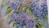 PXL_20260411_113854235.thumb.jpg.eb8ff1ec0bea62be0caec088166bf9fa.jpg