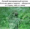 h-6606.thumb.jpg.07baabf147fe13ac41a48e968ab95976.jpg