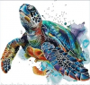 Joy Sunday DA992, Turtles