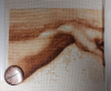 1720163922__2026-06-01_221014336.thumb.png.dc48b652dc31ecc336452fc268f28eb3.png