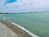 1737630245_IMG_20260426_1213341.thumb.jpg.4f4c4ae334e9e59c048aa28e76c83c5d.jpg