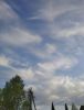 1781510579616.thumb.jpg.e1893570320132d705abfaa6f499ae6a.jpg