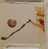 1827999559__2026-06-21_184234121.thumb.png.3e484f12ced8f8ef7efc7d296c50363c.png