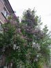 20260518_185022.thumb.jpg.67b1124ebfc0b2bd62e8c19ed13049d0.jpg